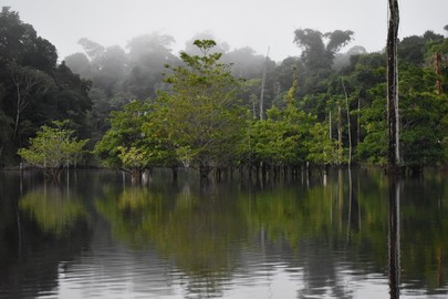 Mission en Guyane